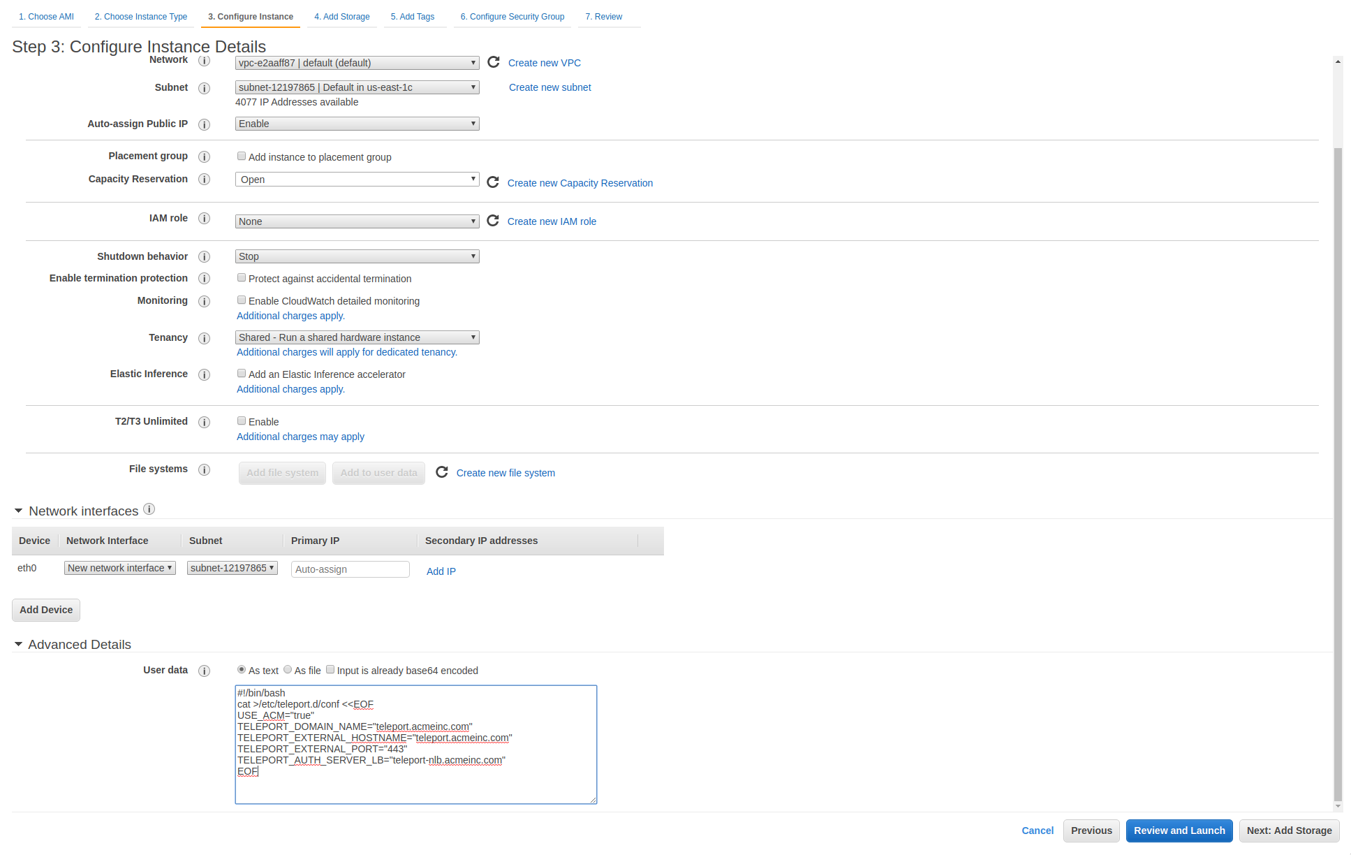 Config Instance Details